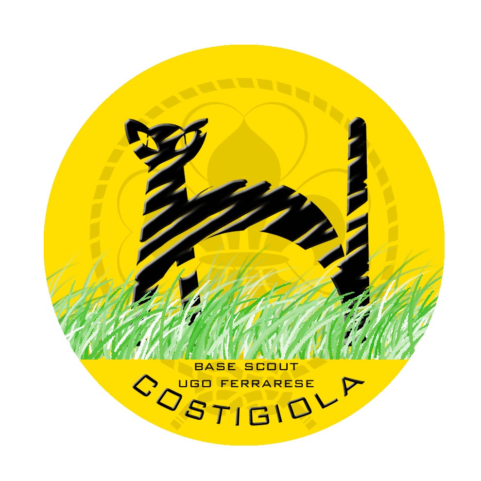 Base Scout Costigiola